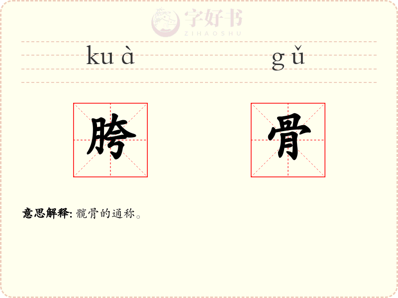胯骨