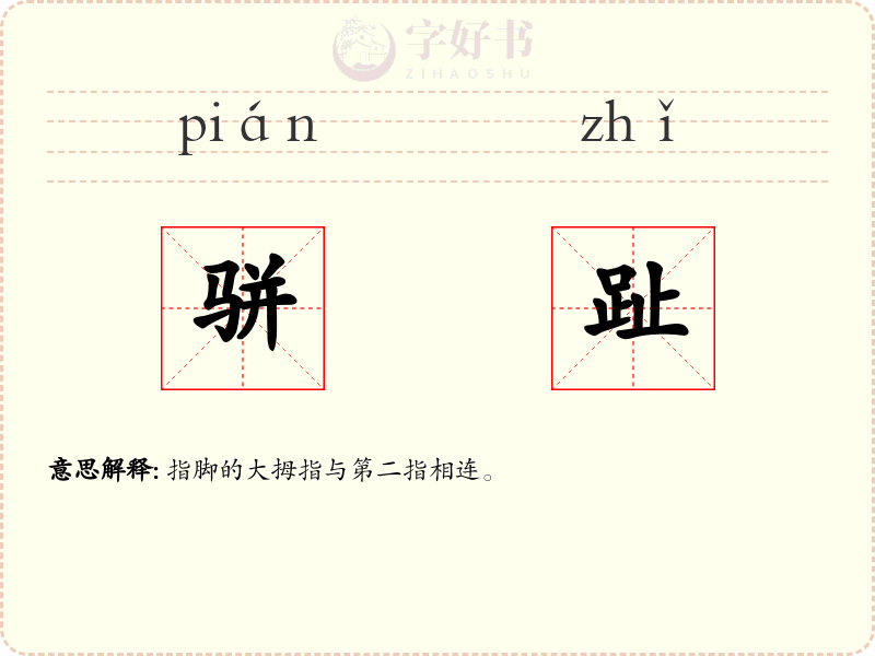 骈趾