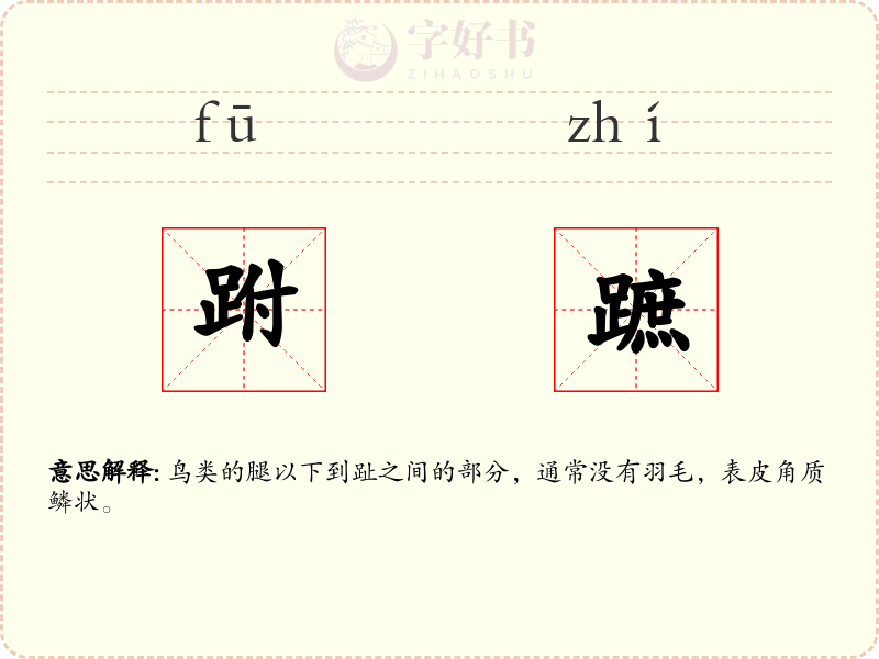 跗蹠