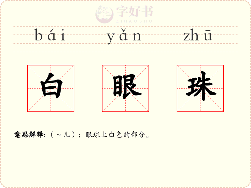 白眼珠