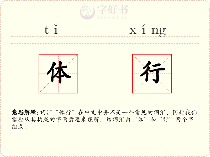 体行