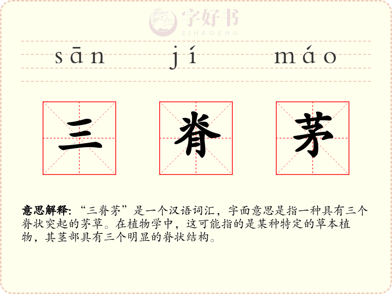 三脊茅