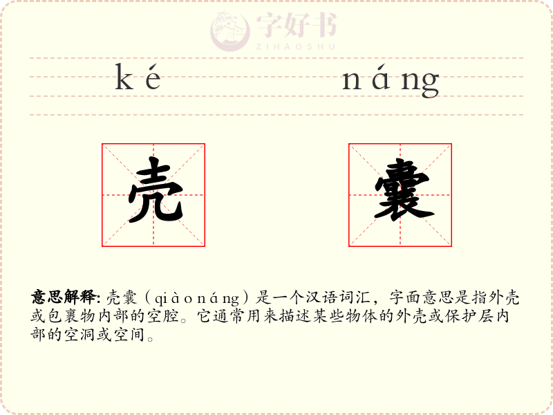 壳囊