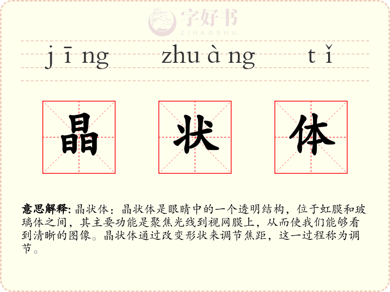 晶状体