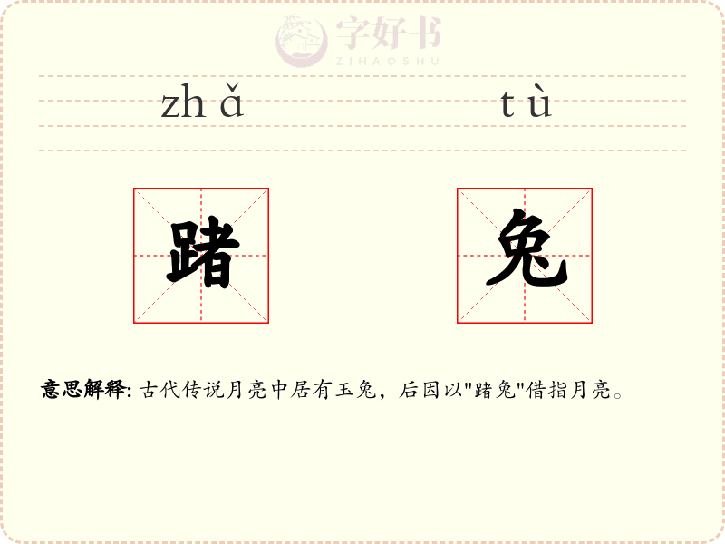 踷兔