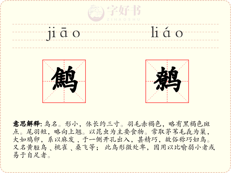 鹪鹩