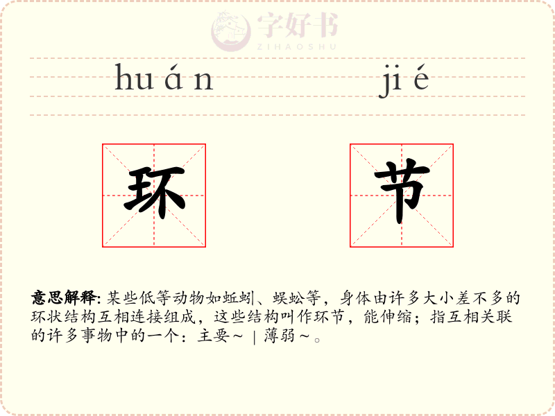环节