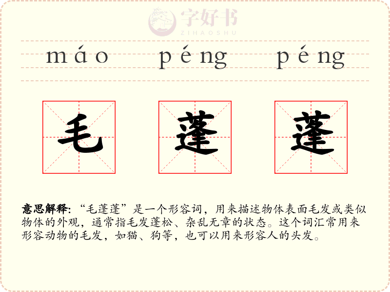 毛蓬蓬