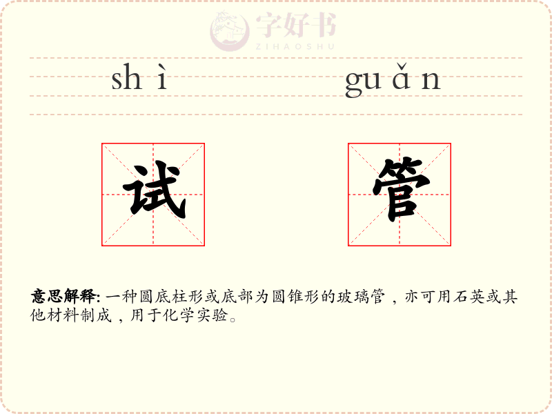 试管