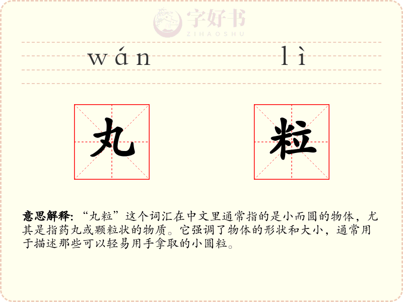 丸粒