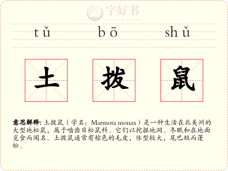 土拨鼠