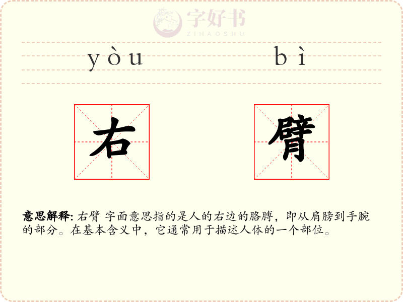 右臂