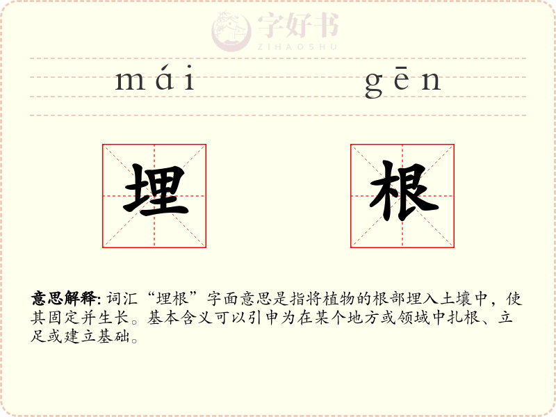 埋根
