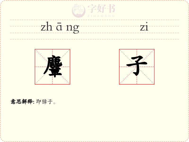 麞子