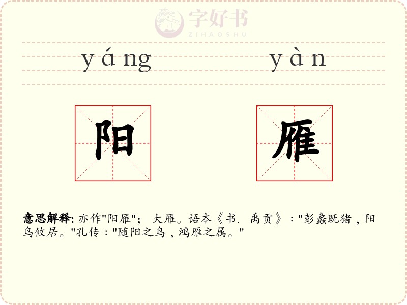 阳雁
