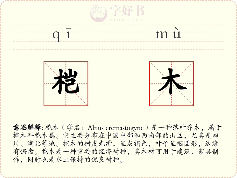 桤木