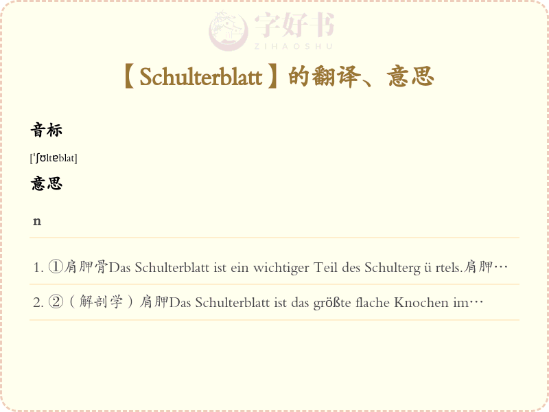 Schulterblatt