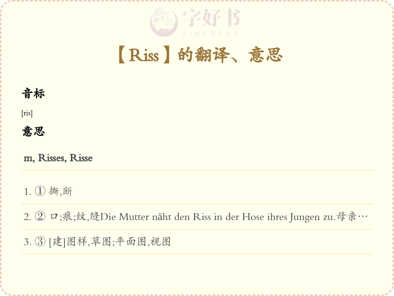 Riss