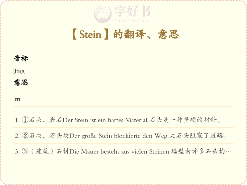 Stein