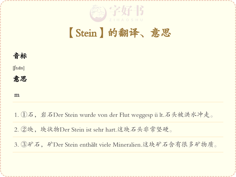 Stein