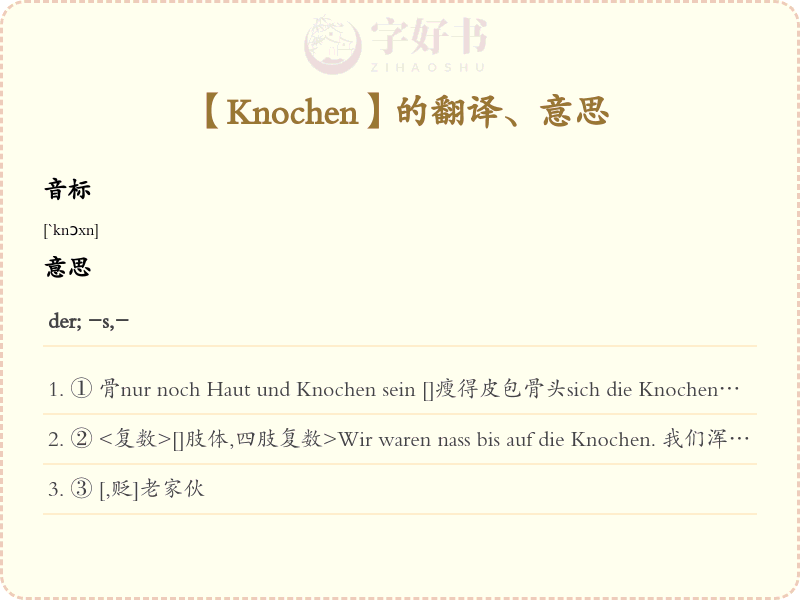 Knochen