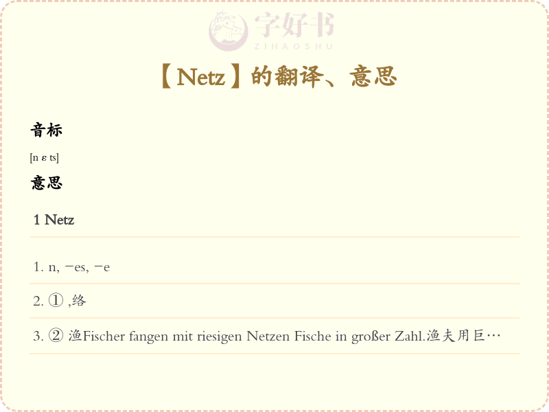 Netz
