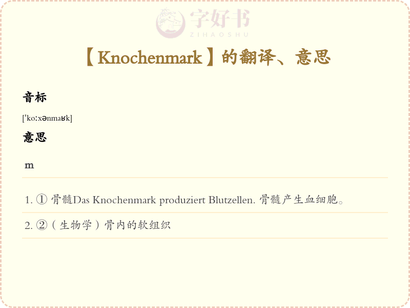 Knochenmark