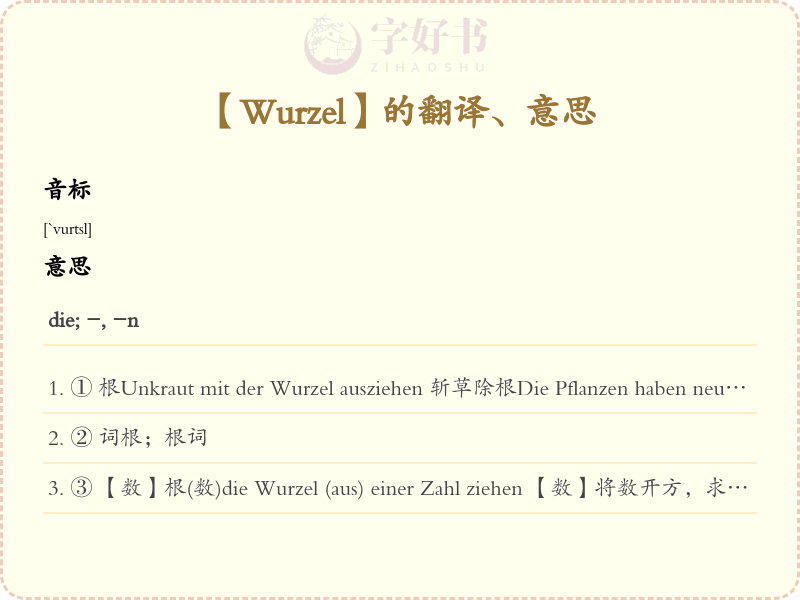 Wurzel