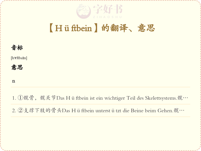 Hüftbein