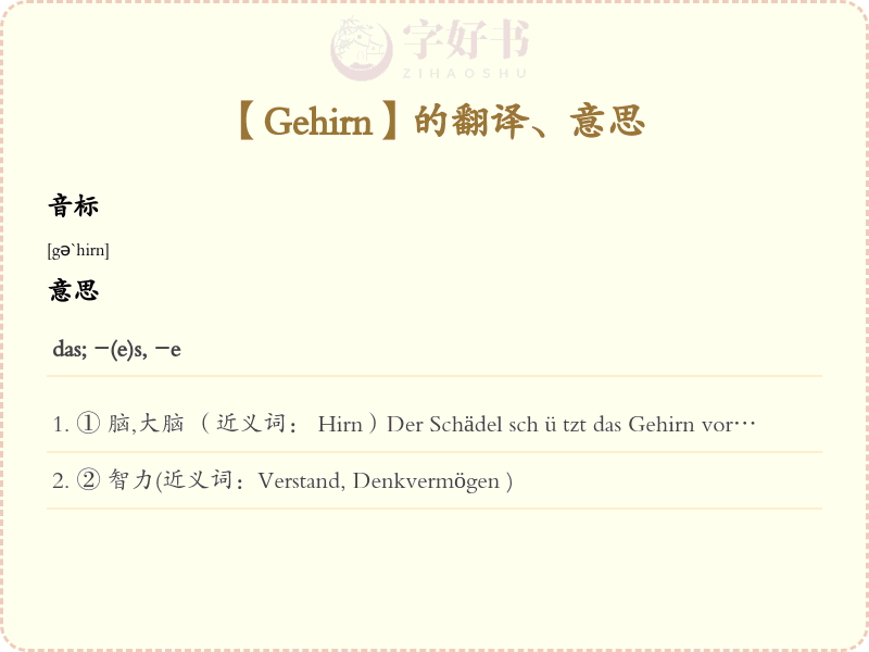 Gehirn