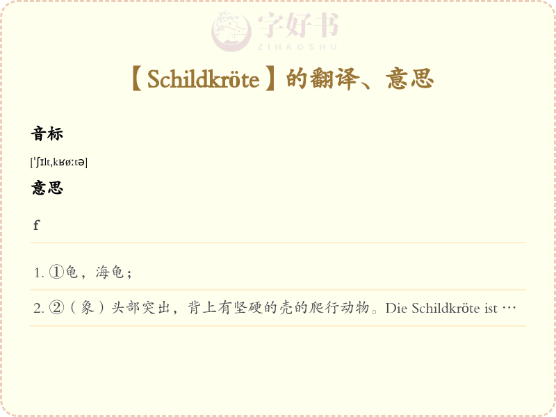 Schildkröte