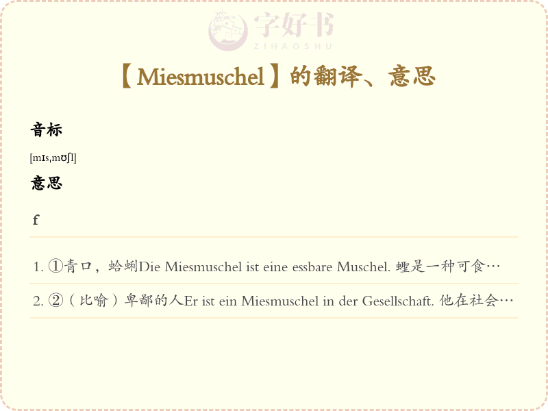 Miesmuschel