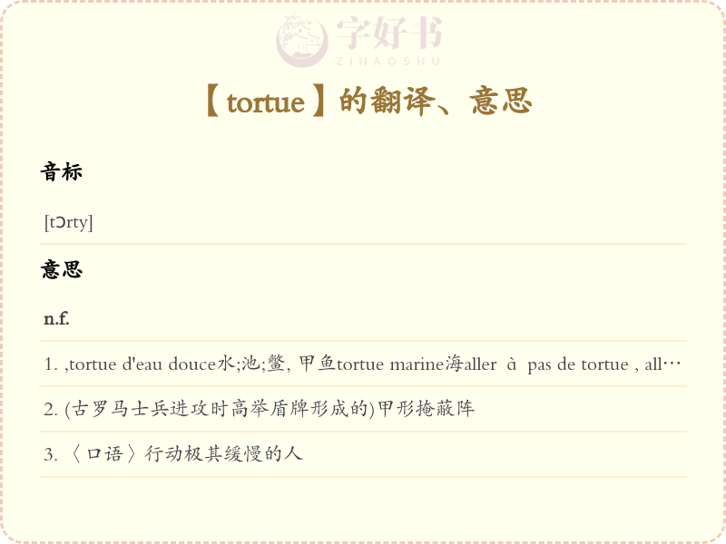 tortue