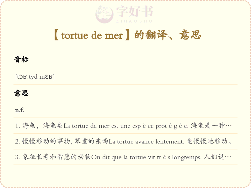 tortue de mer