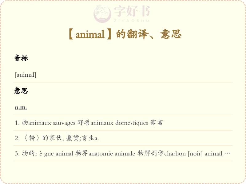 animal