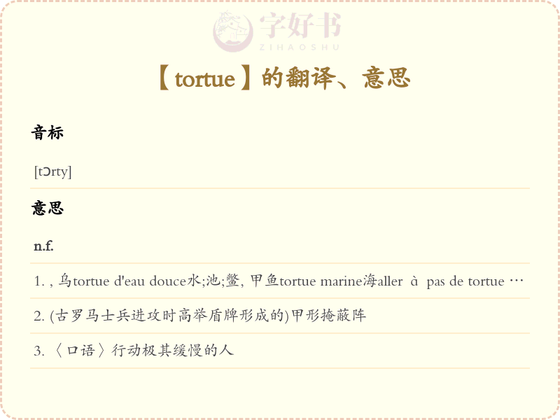 tortue