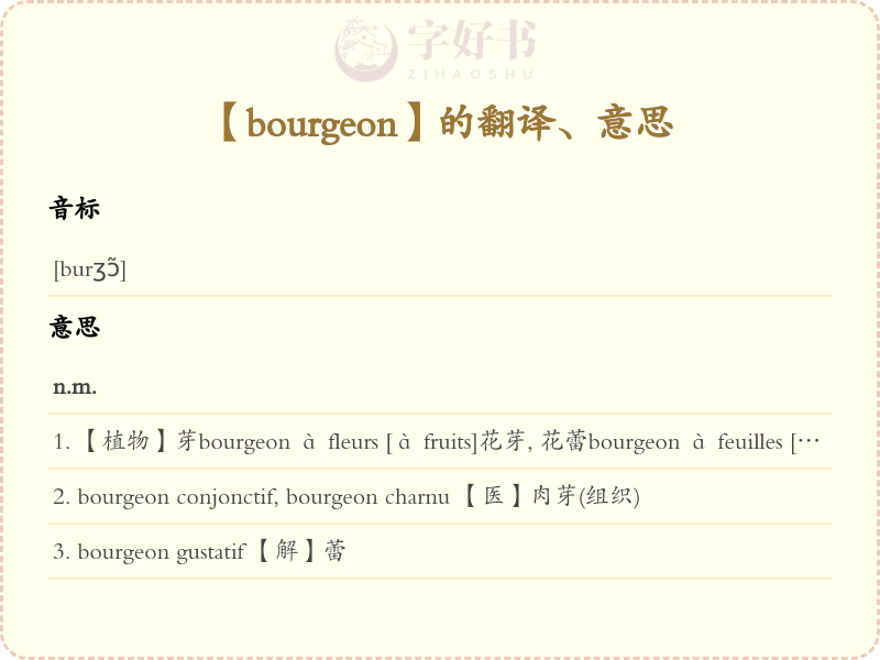 bourgeon