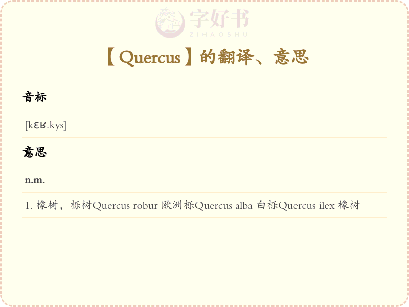 Quercus
