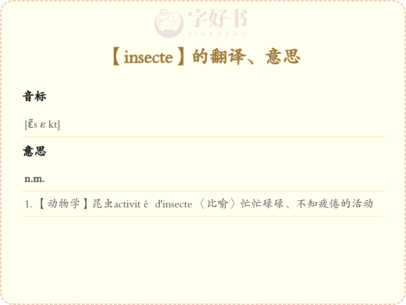 insecte
