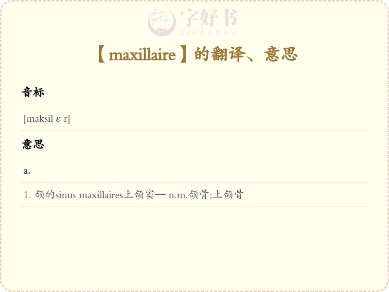 maxillaire