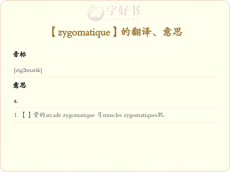 zygomatique