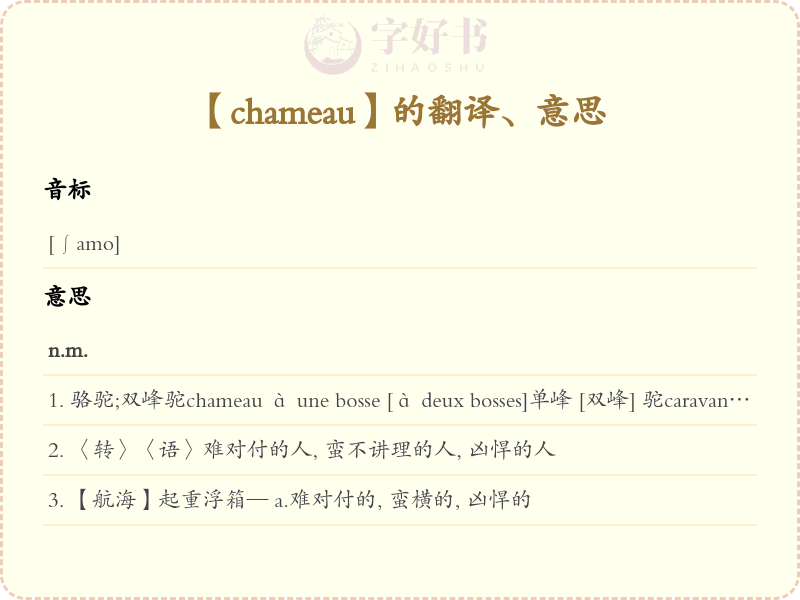 chameau