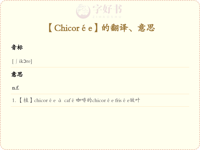 Chicorée