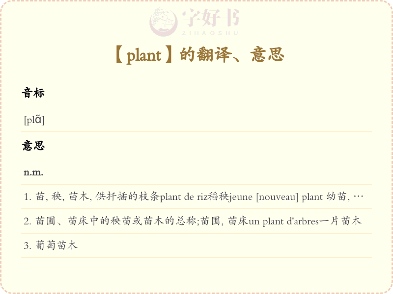 plant