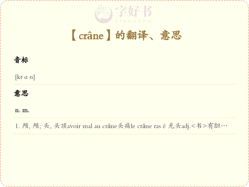 crâne