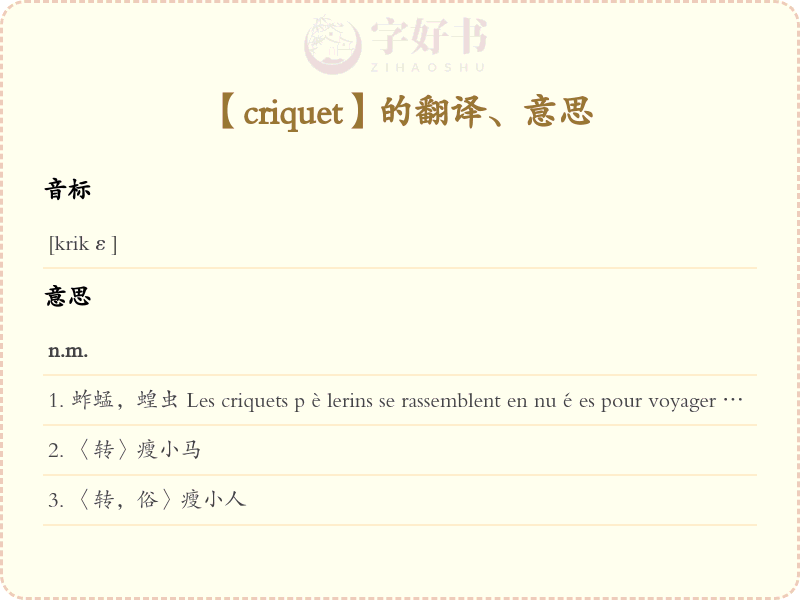 criquet