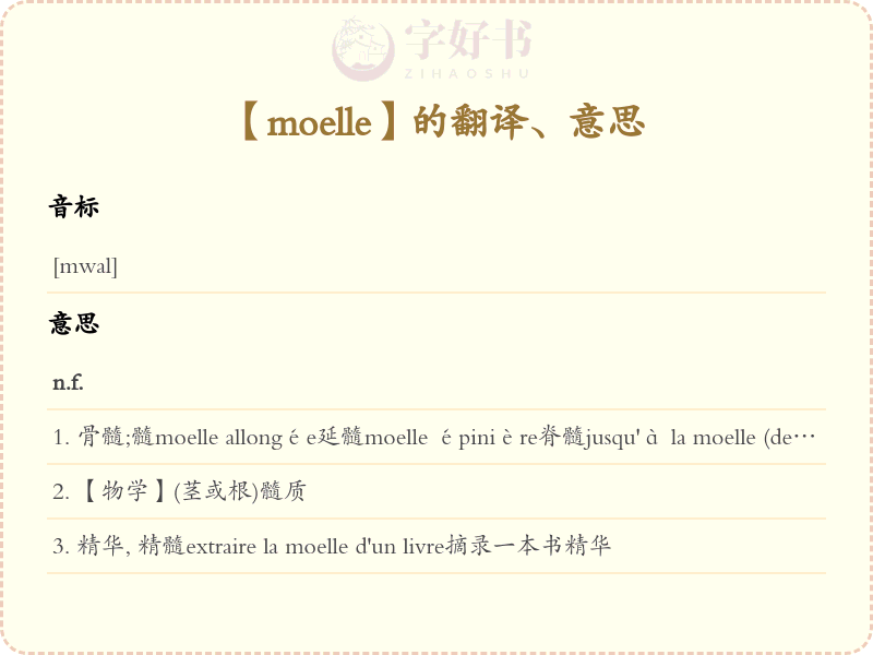 moelle