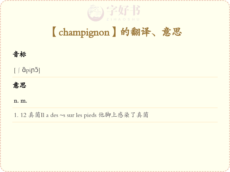 champignon