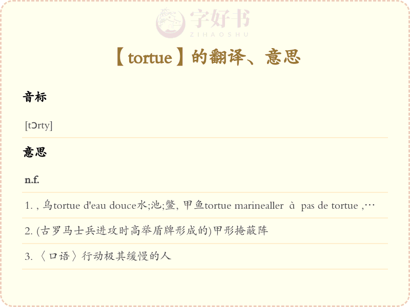 tortue