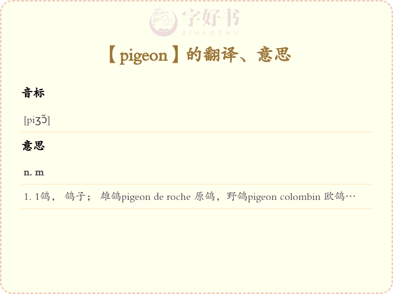 pigeon